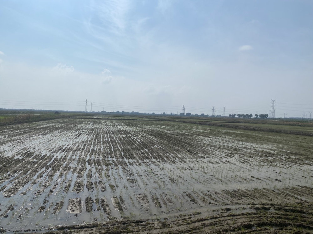 Cache_412d19ff9797c2e9_副本