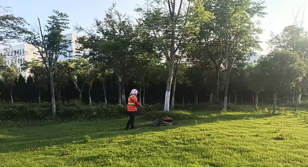 8eb7701e137b111c022ef0b1a0aa7ed4