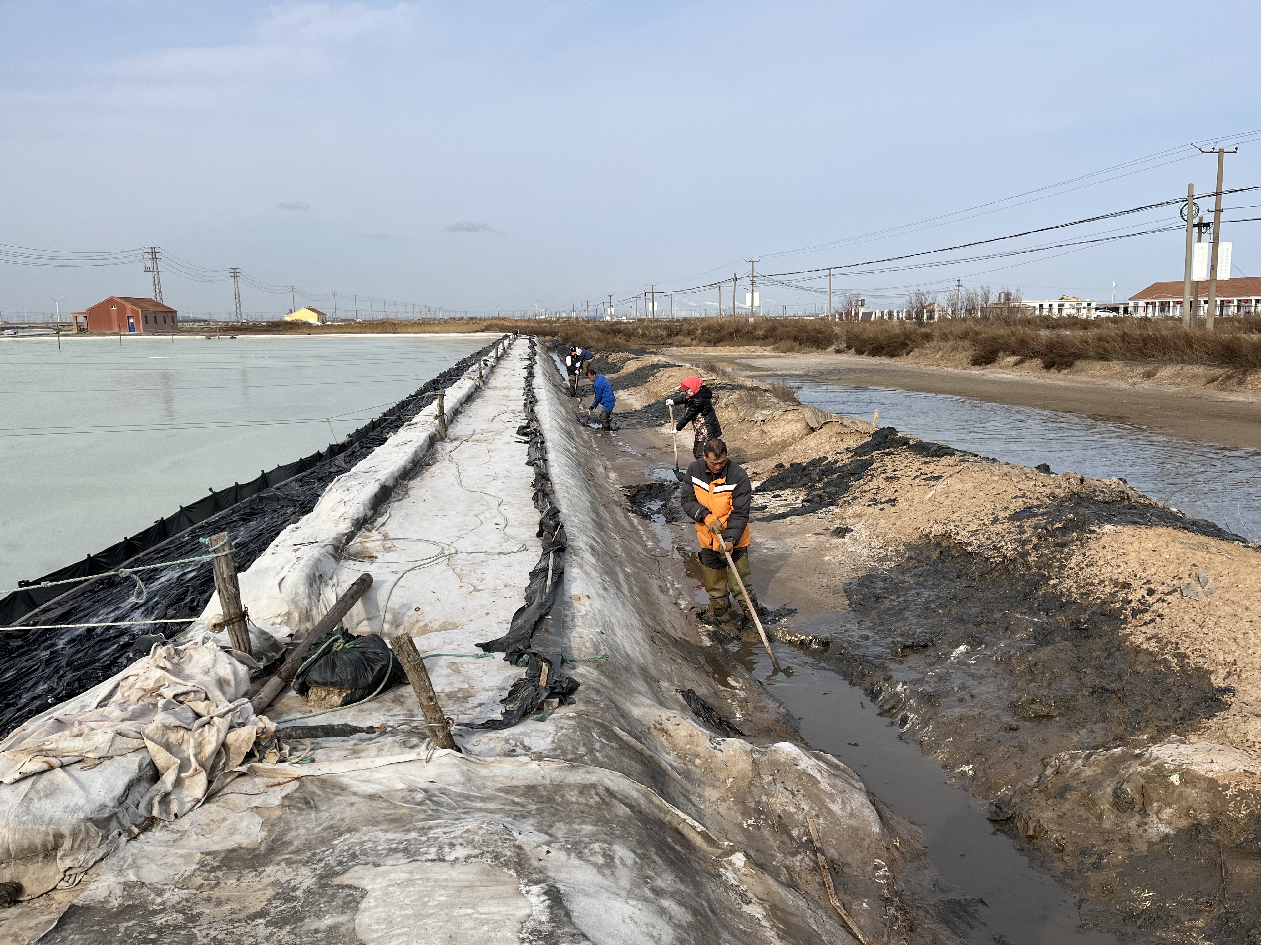 390AFFE07F79488E999192A5172E714E.png 390AFFE07F79488E999192A5172E714E.png